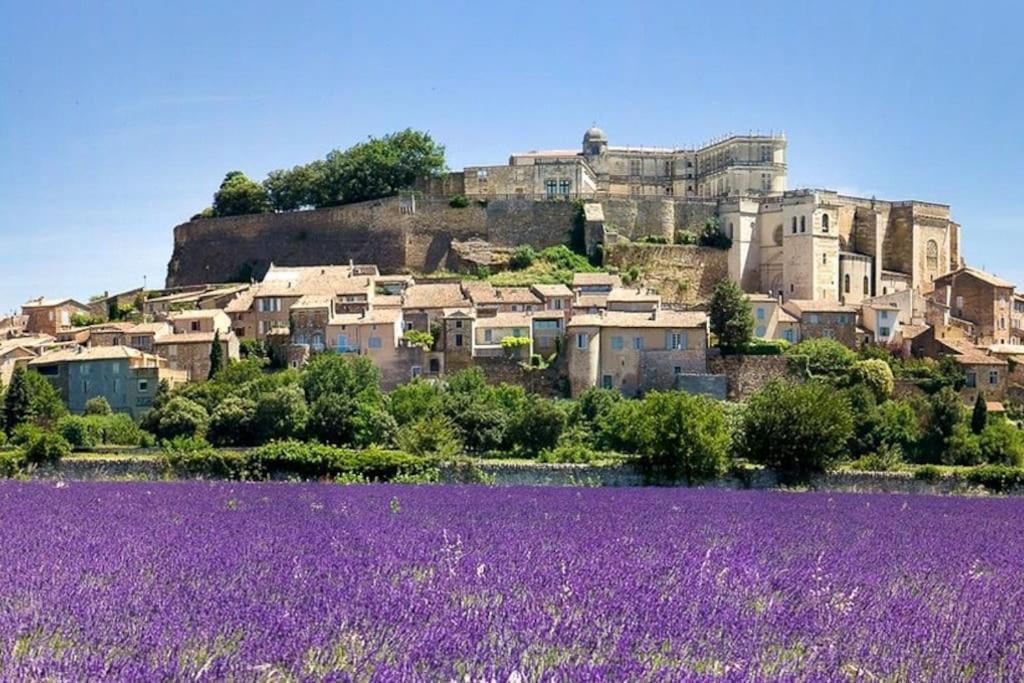 Maison De Ville Chateauneuf-du-Rhone Екстер'єр фото